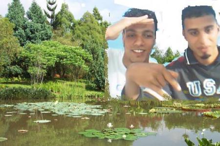 mrhba bikom f chab nasro f khatek kol nasse